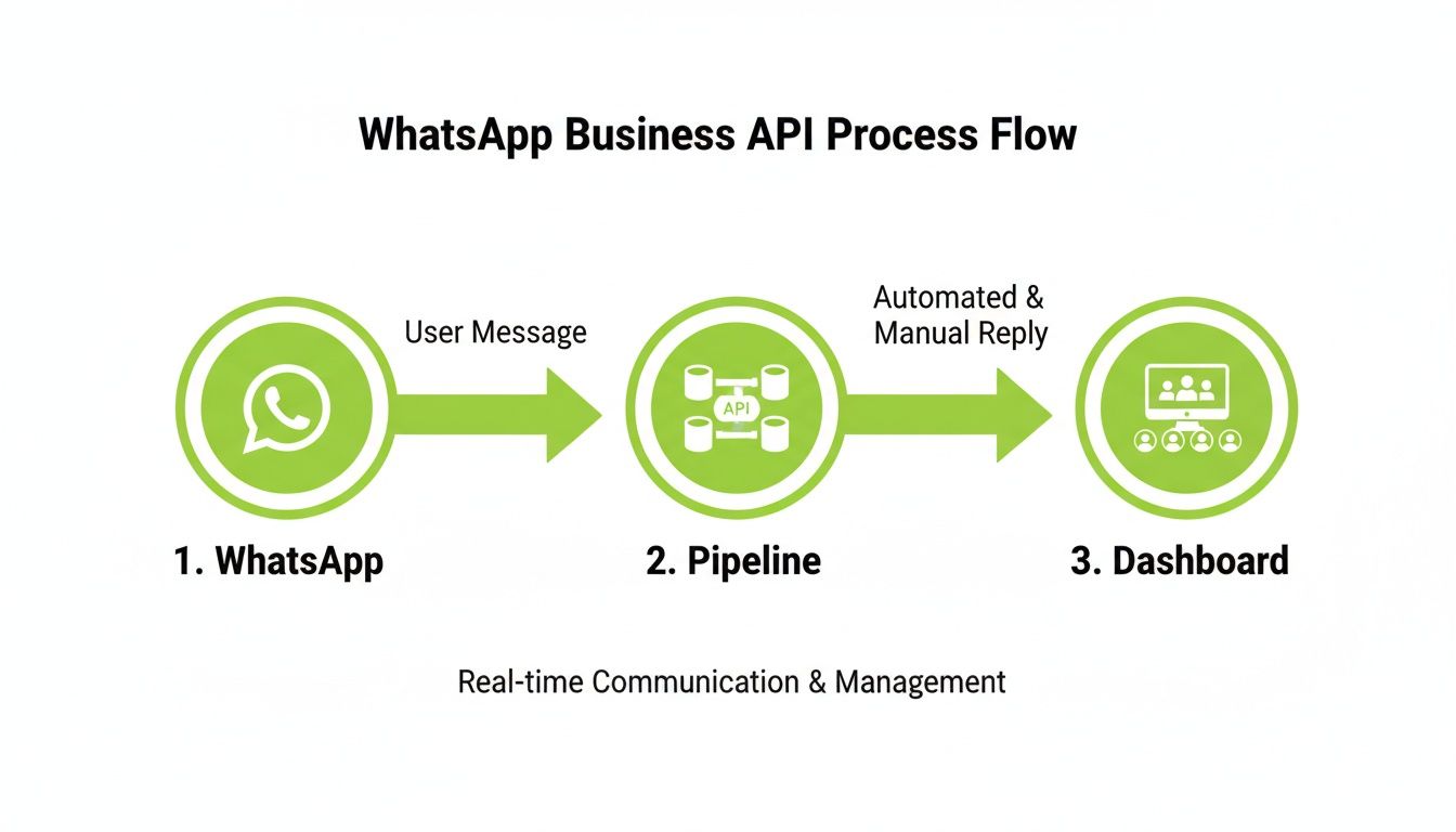 WhatsApp Business API process flow detailing user messages through pipeline to dashboard for automated and manual replies.